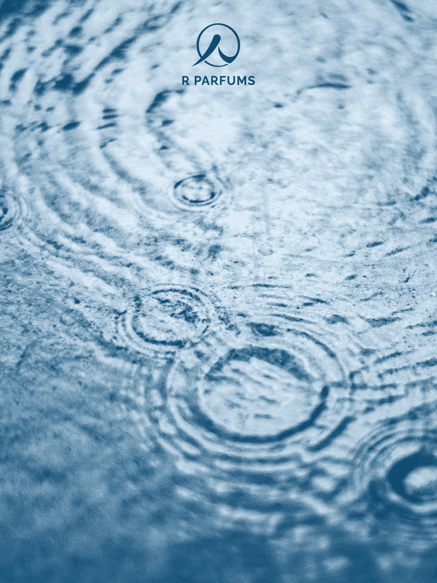 cơn mưa pluviophile R Parfums - R Parfums cơn mưa pluviophile R Parfums