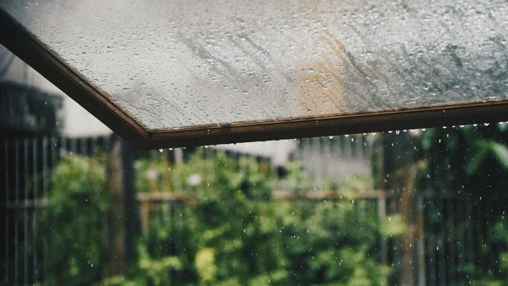 suhyeon-choi-HCDugQDdtfc-unsplash - R Parfums cơn mưa pluviophile R Parfums