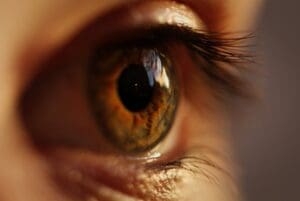 Thị giác - Sense of sight - R Parfums Thị giác - Sense of sight