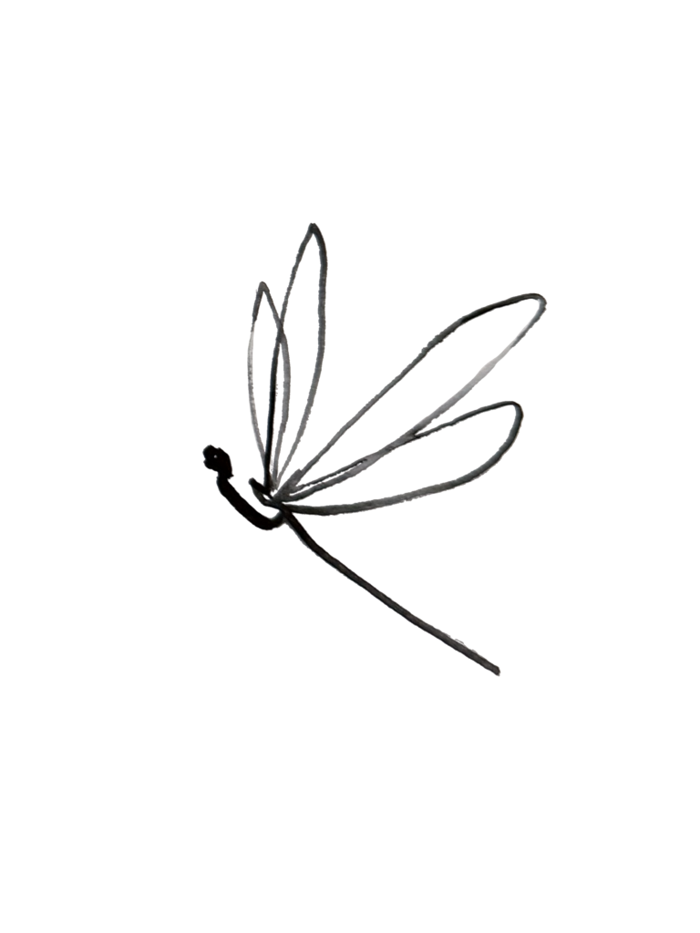 Minimal black line drawing of a dragonfly on a white background.