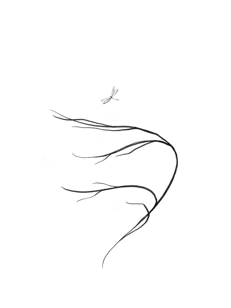 Minimal black ink sketch of a dragonfly hovering above a few curved, overlapping lines like branches against a white background