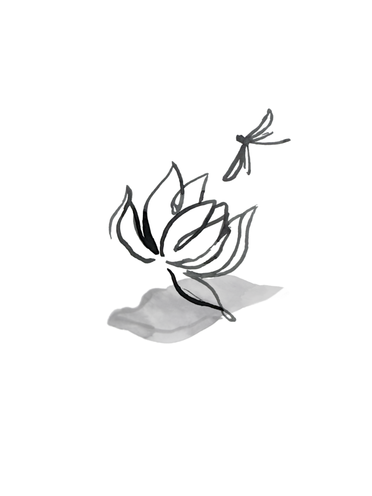 Ink sketch of a flower with curved petals and a small dragonfly hovering above it on white background
