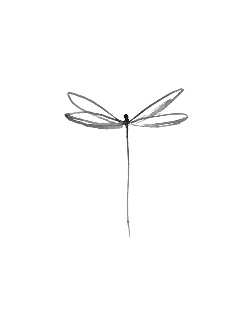 Watercolor-style dragonfly with pale gray wings and long thin body on black background.