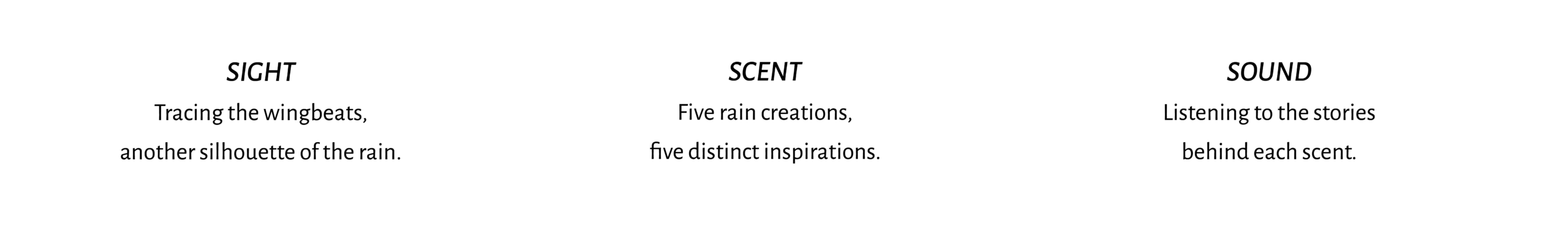Three-column graphic labeled SIGHT, SCENT, SOUND describing rain-inspired perception—wingbeats, rain silhouettes, and scent stories.